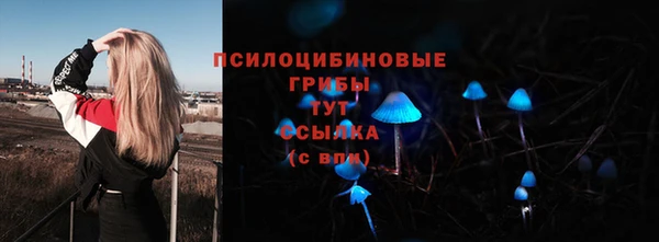 мяу мяу мука Верея