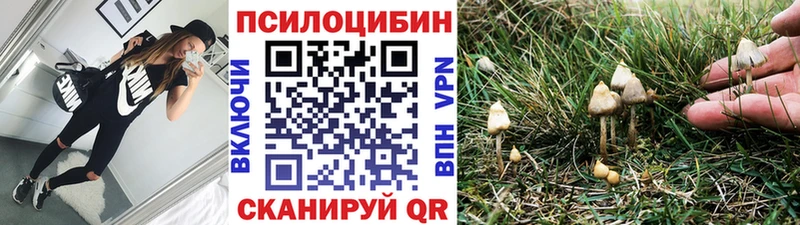 Псилоцибиновые грибы ЛСД  гидра вход  Славянск-на-Кубани 